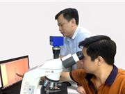 Nghiên cứu quần xã tuyến trùng thực vật tại Lâm Đồng